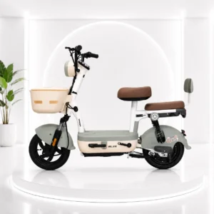 Electric City Bike Manufacturer 48V 450W Brushless Hub Motor 14*2.5 Inch Tires