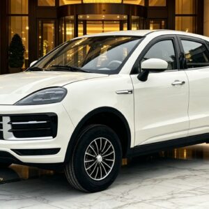 Jinan Dayang LK New Energy Automobile Co., Ltd.