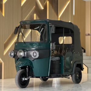 Dayang Tuk-Tuk / Auto-Rickshaw