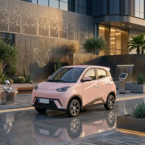 Dayang Seagull Five-Door Four-Seater Sedan